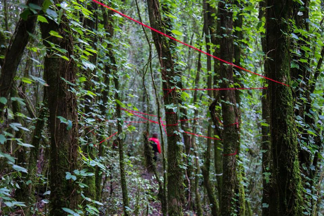 Yungas Arte Contemporáneo